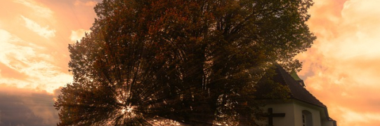 Auffahrt und Freitag, 15. Mai 2026 - schulfrei