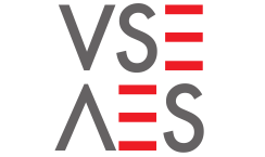 Logo VSE 