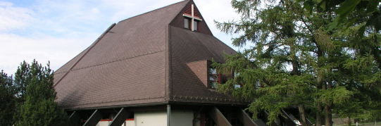 Ersatzwahl eines Mitgliedes der Kirchenpflege der römisch-katholischen Kirchgemeinde