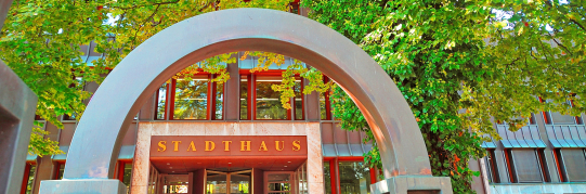 Strandbadstrasse 55, Parzelle 8050, Hagebuche: Unterschutzstellung