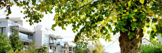 Tarif- und Taxordnung 2025 des Pflegezentrums Wildbach