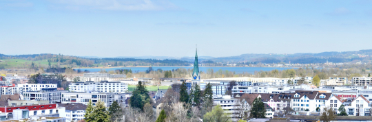 Reglement betreffend Förderung der Energieeffizienz von Gebäuden in der Stadt Wetzikon