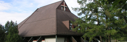 Ersatzwahl eines Mitgliedes der Kirchenpflege