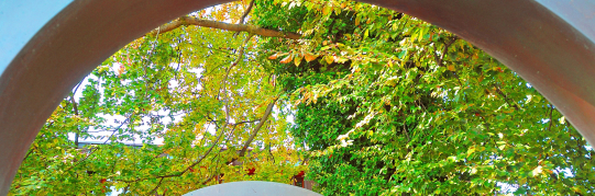 Öffentlicher Gestaltungsplan Pestalozzistrasse