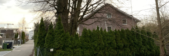 Quartierplan Mattacker-Mühle, Bekanntmachung des Inkrafttretens