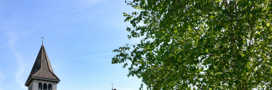 Friedhof Wetzikon - Abräumung Winterkränze und Frühlingsbepflanzung