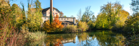 Kreditbewilligung als gebundene Ausgabe