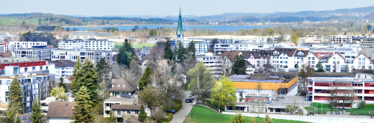 Konditionen Smart EGV der Stadtwerke Wetzikon