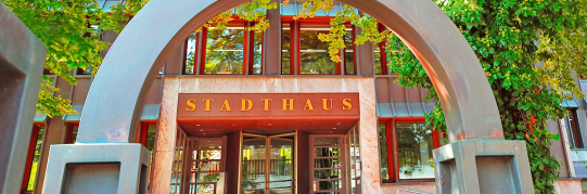 Erneuerung Usterstrasse, Projektfestsetzung