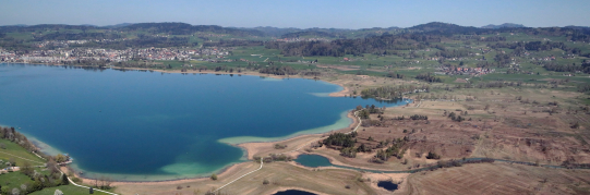 Quaggamuschel-Fund im Zürichsee – Einwasserungsverbot für Greifen-, Pfäffiker- und Türlersee
