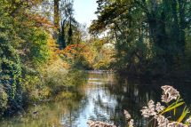 Gehölzpflege im Parkwäldchen Schönau im September 2024