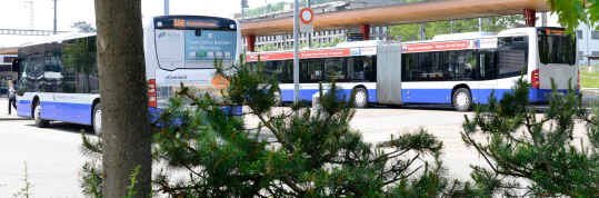 Strassenbauprojekt, Behindertengerechte Sanierung Bushof Süd, Öffentliche Planauflage