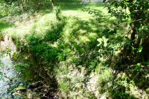 Baumfällungen für den Neubau des Schulhauses Walenbach