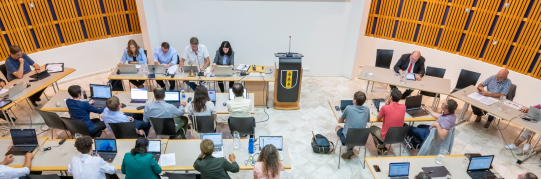 Ersatzwahl Mitglied Parlament