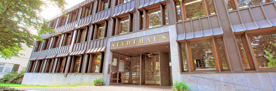 Natur- und Landschaftsinventarobjekt Nr. 4.127, Birke, Buchgrindelstrasse 20: Unterschutzstellung