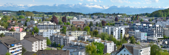 Urnengang vom 9. Februar 2025, Abstimmungsanordnung