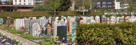 Friedhof Wetzikon, Sommerbepflanzung