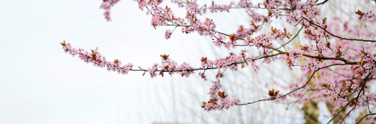 Öffnungszeiten der Stadt Wetzikon über Ostern