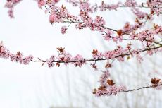 Öffnungszeiten der Stadt Wetzikon über Ostern