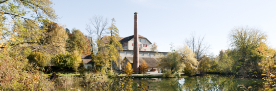 Gehölzpflege in der Schönau im November 2025