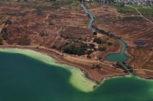 Quaggamuschel im Zürichsee – Massnahmen zum Schutz von Greifen-, Pfäffiker- und Türlersee