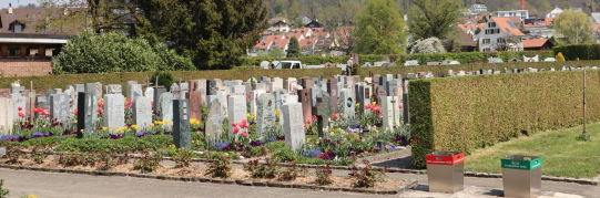 Frühlingsbepflanzung